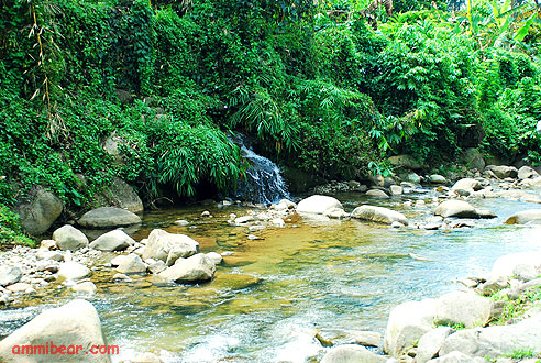 sungai di malaysia Makan Travel Sembang Leisure